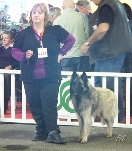 n°97 Dolwen de condivicnum 5423.JPG